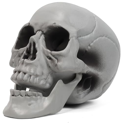 MOKRY PARTY Life Size Skeleton Skull for Halloween Decor Graveyard Outdoor White3