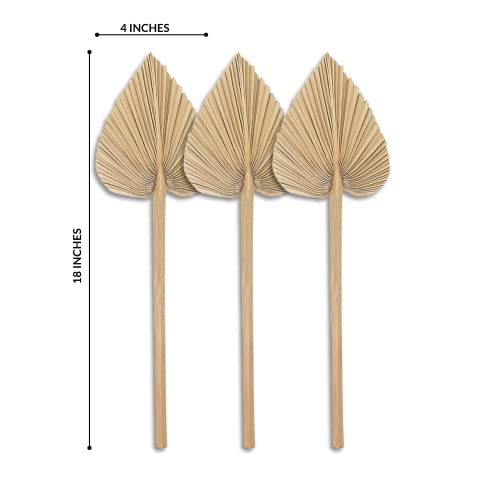 Greta Natural Dried Palm Leaves Pack Of 12 Heart Oval Shape Dried Palm Spears For Wedding House Party Kitchen Decoration Indoor Outdoor Occasions #TOP1