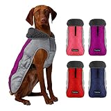 Fragralley Dog Winter Coat - Warm Dog Jacket Soft Fleece Lined for Cold Weather, Waterproof Windproo