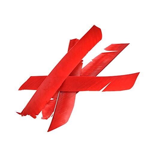 MILAEM 20`29 H pVR̖H sKȌ` A[`F[ANZT[ A[H  DIY  | 50{ (Ԃ)