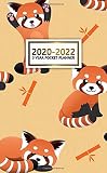 3 Year Pocket Planner 2020-2022: Cute Three Year Organizer & Calendar with Monthly Spread View | Funky Red Panda Bear 3 Year Diary & Agenda with Phone Book, Holidays, Inspirational Quotes & Notes