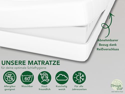 DREAMSTAR Easy Flex 7-Zonen Matratze 90x200 cm | H2&H3 | Ergonomische Kaltschaummatratze |...