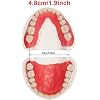 Product Photo 5