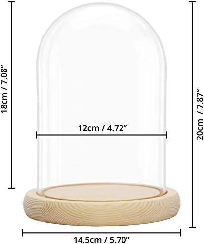 BELLE VOUS Large Glass Dome Cloche Bell Jar with Natural Wooden Base - 20cm/7.87 Inches - Clear Decorative Tabletop Display Case with Tray for Fairy Lights, Centrepieces and Antiques