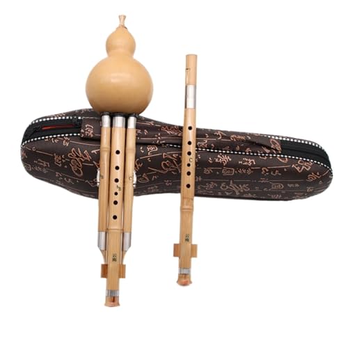 ���S�҂Ƒ�l�̂��߂� �v�������肵���V�R�̃t���V2�`���[���y��(Type 3)