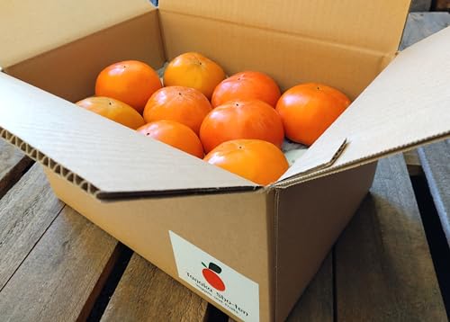 xL`ExL` EBeY 1P[X 5kg Tanaka Sho-ten