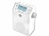 Soundmaster DAB60WE - Radio Da Doccia, Radio Da Piscina, Radio Portatile con DAB+/FM-RDS, Cassa Bluetooth Doccia, 20 Stazioni Preimpostate, Funzione Vivavoce, Rilevatore di Movimento