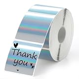 500 Pcs 2'' x 2'' Holographic Silver Thermal Label Stickers Square Thermal Printer Stickers Thermal Sticker Paper Self Adhesive Waterproof Labels for Name Price Tag Address Logo Design M221 PM-246S