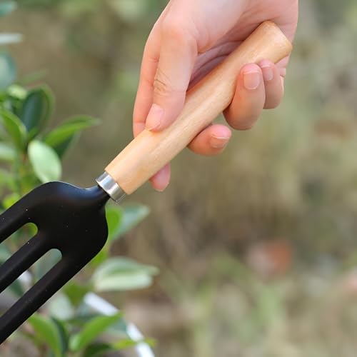 Image of Go Garden 3 Pcs Gardening Hand Tool Kit for Home Gardening | Hand Cultivator, Trowel, Transplanter | Perfectly Sized for Home Garden | Ideal for Flower Pots and Lawns