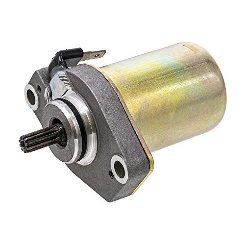 NICHE Starter Motor Assembly for Yamaha Zuma 50 YW50 4WX-H1800-01-00