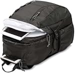 JANSPORT unisex-adult AgaveBackpack