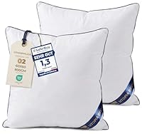 Utopia Bedding 2er Set Kissen 60x60 cm, Kissenfüllung für Bett und als Dekokissen, Sofakissen, Zierkissen für Couch (Weiß)