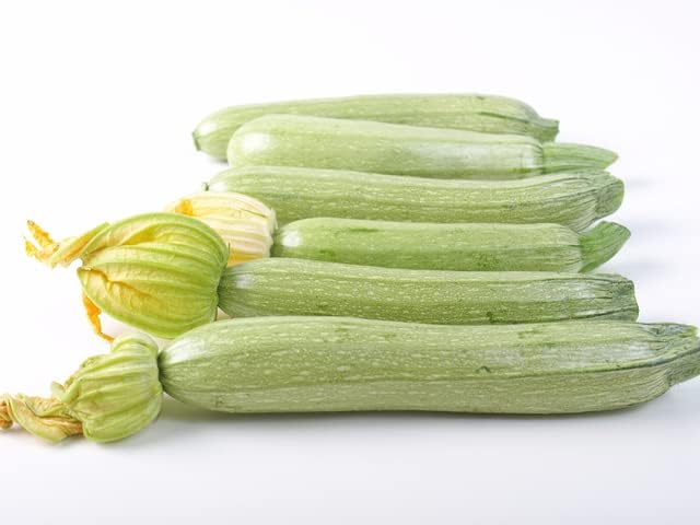 Italian Summer Squash - &ldquo;Summer Grey Squash&rdquo; Zucchini with Light Flavor| USA Grown Heirloom Seeds by Liliana's Garden |