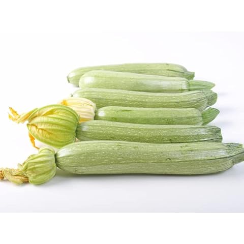 Italian Summer Squash - “Summer Grey Squash” Zucchini with Light Flavor| USA Grown Heirloom Seeds by Liliana's Garden | Cover