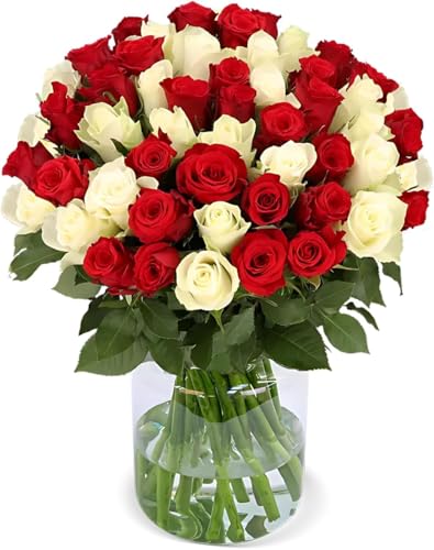 Blume Ideal Rosenstrauß - 50 Rosen - Rot & Weiß - Ø 40–50 cm - Echte premium Blumen für Hochzeit & Deko - 7 Tage Frischegarantie - in verschiedenen Farben und Mengen