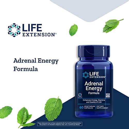 Life Extension Adrenal Energy Formula - Stress Management Supplements With Ashwagandha, Cordyceps, Holy Basil & Bacopa For Homeostasis Support – Gluten-Free, Non-Gmo, Vegetarian – 60 Capsules #TOP3