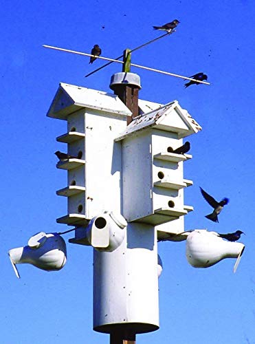 Fms Ravenox T-14 Purple Martin Bird House | Purple Martin Bird Houses | (Conley Ii Entrance)(Cedar Roof) #TOP2