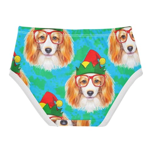 Joisal Cotton Toddler Underwear Floral Funny Dog Red Glasses Green Girl Panties Cute Personalized Briefs Kids Undies 2t2