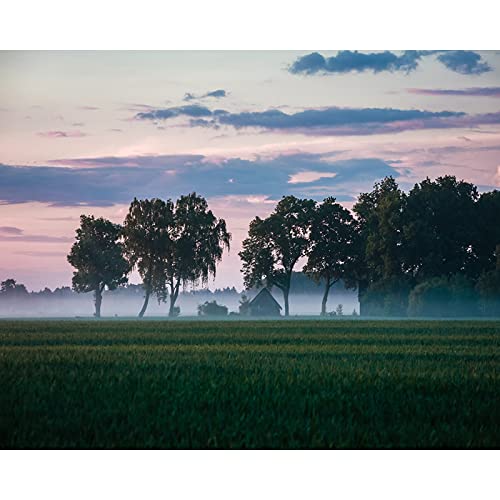 Peinture au diamant 5D kit forêt de campagne anti-stress broderie point de croix