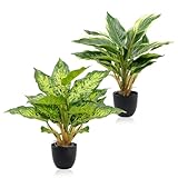MISIQIMA 2 Stück Kunstpflanzen Wie Echt, 37cm Deko Künstliche Pflanzen, Plastikpflanzen im Topf für Wohnzimmer, Küche, Badezimmer, Bürogebäude (Weiße Blattränder + Gesprenkelte Blätter)