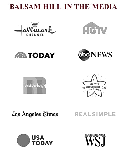 Balsam Hill 7Ft Prelit Clear Led String Lights Classic Blue Spruce Artificial Christmas Tree thumb #6