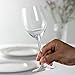 Riedel 6448/05 Wine Series Viognier/Chardonnay Glass, Set of 2, Clear