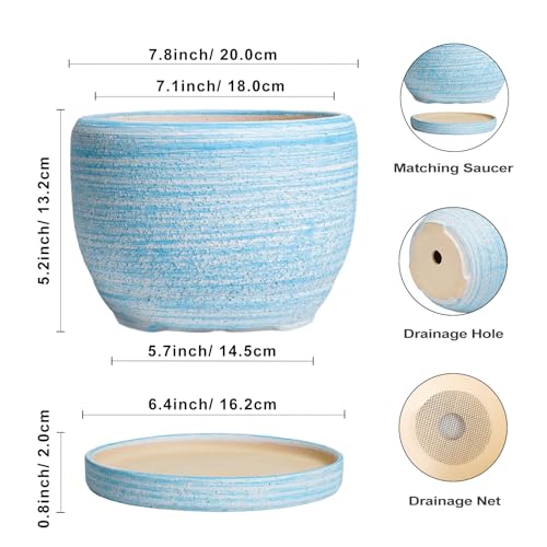 SQOWL Ceramic Planter - 8 inch Pot for Plants Indoor Outdoor, Modern Ceramic Flower Pot with Drainage Hole and Saucer, Decorative Round Planter, Home Office Decor, Plant Lovers Gifts, Blue by SQOWL - Image 3