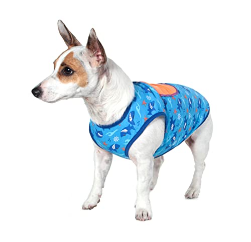 Regata Pickorruchos para Cães Azul - Tamanho 03
