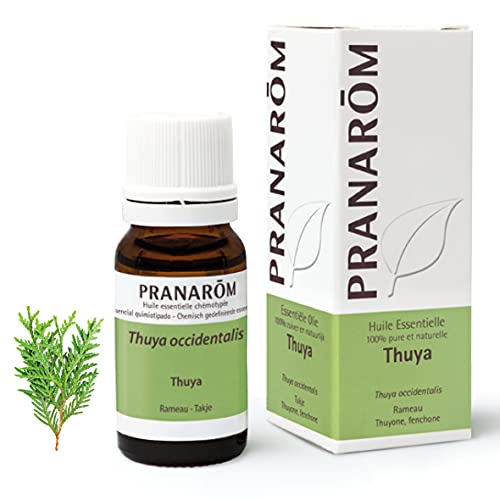 Pranarom Esen. Tuya Rama 10Ml Pranarom 20 G