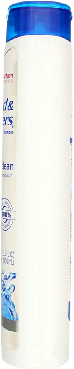 Head & Shoulders Classic Clean Dandruff Shampoo 13.5 oz Pack of 2
