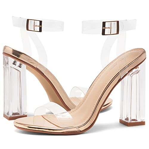 Shoe Land Sl-Cllaary Women's Perspex Heel Ankle Strap Adjustable Buckle Lucite Clear Block Chunky High Heel Open Toe Sandal Clearrosegold 10.0 #TOP7