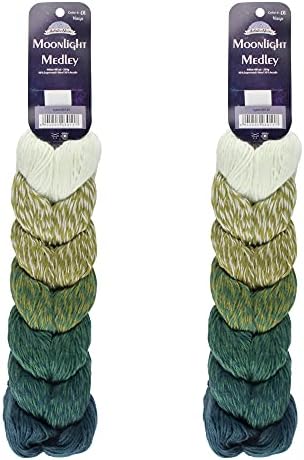 JubileeYarn Moonlight Medley Yarn - Ombre DK Weight Merino Wool/Acrylic - 200g/Hank - Leo - 1 Skein