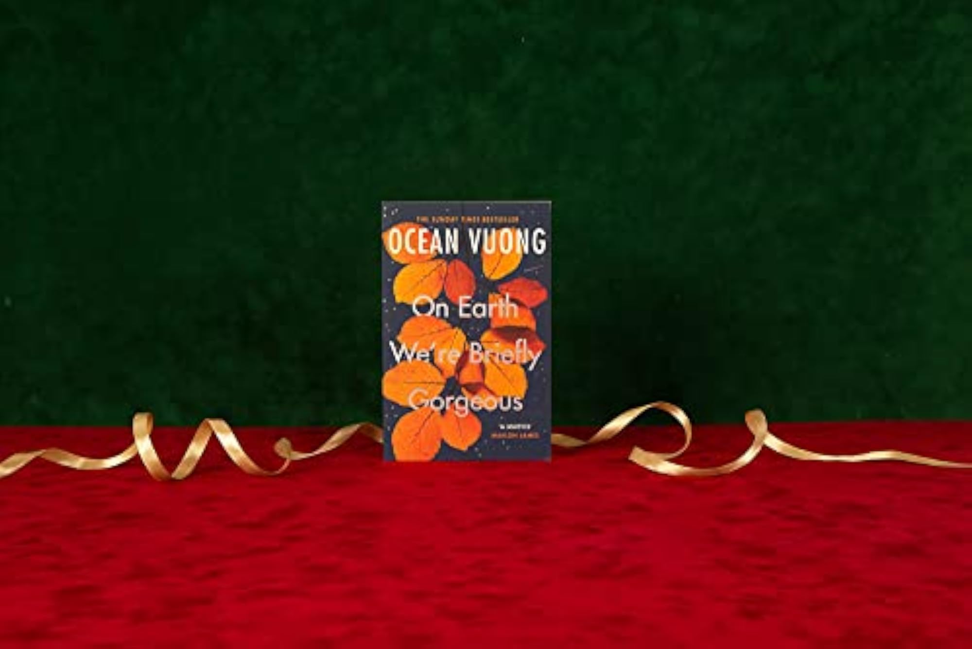On Earth We're Briefly Gorgeous, A Poignant Novel