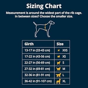 Ruffwear Float Coat Dog Life Jacket Swimming Safety Vest with Handle Blue Dusk Medium