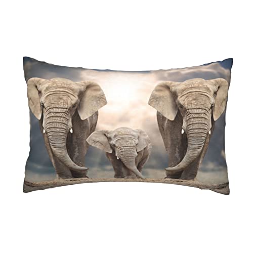 Fundas de almohada de elefante africano para sofá, hogar, dormitorio, estampado en ambos lados, 16 x 24 pulgadas Cover