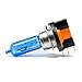 Produktbild 2 x H15 Auto Lampe PGJ23t-1 Birne Halogen 6000K 15W / 55W Xenon 12V