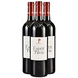 chateau pavie 2010 AOC Bordeaux Rouge, Région Bordeaux, France