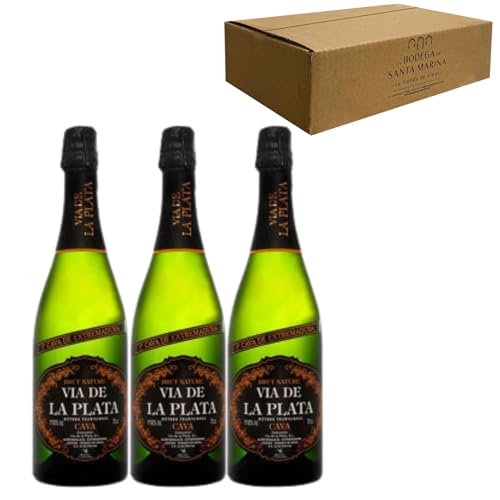 Cava Vía de la Plata Brut Nature - Para Disfrutar en Celebraciones y con los Tuyos - Pack 3 Botellas 75cl