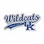 Kentucky Wildcats Distressed