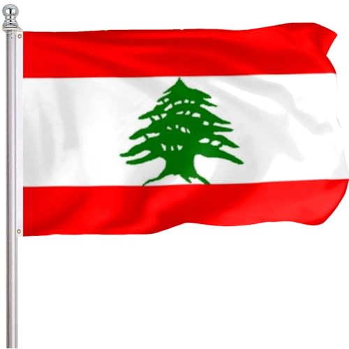FLGCLUB Lebanon Flag 3x5 Ft Outdoor Vibrant Color Fade Resistant Lebanon Flags Polyster Double Stitched Lebanese National Flag Canvas Header and Brass Grommets