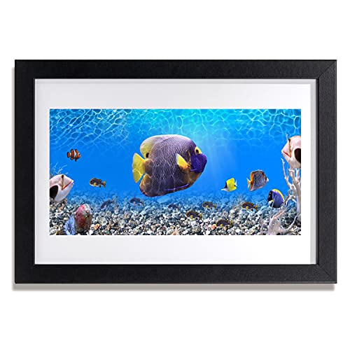 Image murale nature poisson déco cuisine chambre cadre MDF 30x20 cm