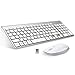 FENIFOX Teclado y Raton inalambrico, diseño ergonómico 2,4 G Teclado inalámbrico y ratón Combinado con Nano Receptor USB para PC de Escritorio, Mac OS Windows Linux (Plata)