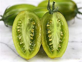 Tomato Green Tiger Medium-Late Organic Heirloom Seeds Vegetables from Ukraine 0.1 Gram