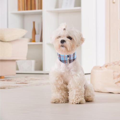 Image of EXPAWLORER Dog Collar and Leash Set - Classic Plaid Dog Collar with Bow Tie and Cute Bell, Dog Leash No Tangle, Adjustable Dog Collar for Small Medium Dogs Cats, Holiday Ideal Gift, Skyblue S