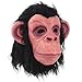 CY TOYSBlack Chimp Mask Latex Full Head Mask for Halloween Costume Party Monkey Animal Mask, Large