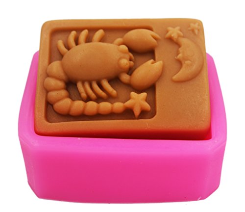 Longzang Constellation Mould Art Silicone Soap Craft Diy Handmade Candle Molds (Scorpio) #TOP9