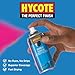 Hycote Fast Drying Extreme Heat Aerosol Car Spray Paint, Black, 13.5 Oz