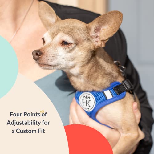 Huxley & Kent Scout Lopro Harness | Blue (Medium, 14-22Lbs) | Easy Control Step-In Mesh Vest Harness For Dogs With Reflective Strips For Safety | H&K Walking, Training Harness For Dogs #TOP4
