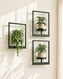 Bamworld Hanging Planters for Indoor Plants Wall Decor Living Room Plant Stand Indoor Wall Planters Plant Hanger Window Plant Shelves 3 Pack for Outdoor Entryway