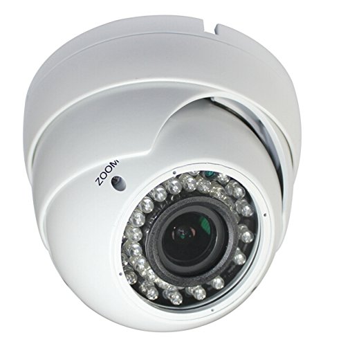 VIEWSE Effio camera 700TVL CCTV Security camera big eyeball dome camera sony sonsor